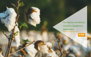 Για υψηλές αποδόσεις… ποικιλίες βαμβακιού Stoneville®