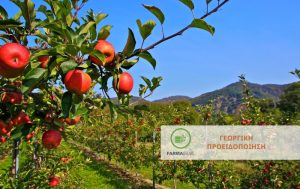 Μηλιά: Εχθροί και ασθένειας στα βλαστικά της στάδια