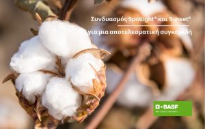 Εφαρμόστε το συνδυασμό Spotlight® και Sunset® και απολαύστε μια αποτελεσματική συγκομιδή!