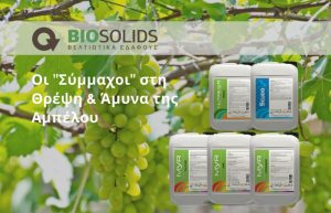 Οι “Σύμμαχοι” στη Θρέψη & Άμυνα της Αμπέλου