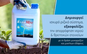 Rizomyc: Για τη δημιουργία ενός ισχυρού ριζικού συστήματος και την εξασφάλιση νερού και θρεπτικών στοιχείων