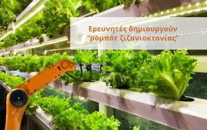 Ερευνητές δημιουργούν “ρομπότ ζιζανιοκτονίας”
