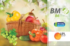 BM 86 – Σιγουριά στην Καρπόδεση