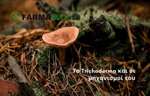 Το Trichoderma και οι μηχανισμοί του