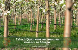 Τελικά ξέρει κανένας πόσο να ποτίσει τα δέντρα;