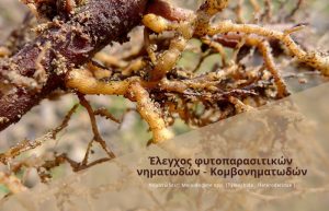 Έλεγχος φυτοπαρασιτικών νηµατωδών- Κομβονηματωδών