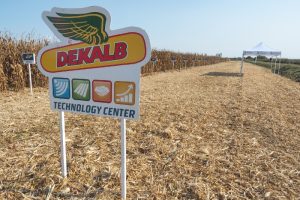 “Έξυπνες” συστάσεις από τη DEKALB στο Καλαμπόκι