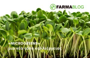Τα «microgreens» ως μια νέα τάση καλλιέργειας και ποια τα πλεονεκτήματα τους