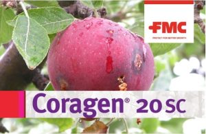 Coragen 20SC, με την καινοτόμο δραστική rynaxypyr®…για άμεση προστασία από την Καρπόκαψα!