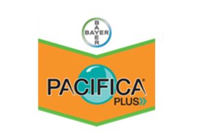 PACIFICA PLUS: Νέο Ζιζανιοκτόνο Σιτηρών από τη Bayer – Τριπλός Σύμμαχος ενάντια σε αγρωστώδη και πλατύφυλλα ζιζάνια