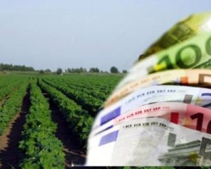 Ποιές βασικές πληρωμές εκκρεμούν για τους αγρότες –  Περιμένουν πάνω από 1 δισ. ευρώ