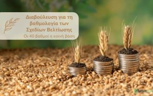 Διαβούλευση για τη βαθμολογία των Σχεδίων Βελτίωσης: Οι 40 βαθμοί η κοινή βάση