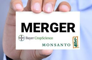 Επιβεβαιώνονται και από τη BAYER οι συζητήσεις για εξαγορά της Monsantο