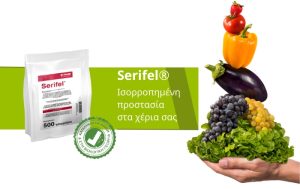 Μυκητοκτόνο Serifel® – Η νέα βιολογική λύση από τη BASF