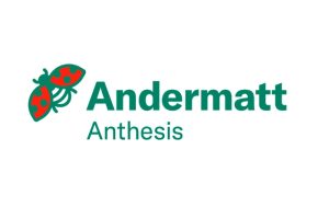 Anthesis