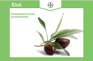 Ελιά: Ολοκληρωμένη Φυτοπροστασία από τη Bayer