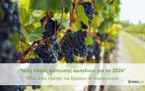 “Νέες άδειες φύτευσης αμπελιών για το 2026”: Όλα όσα πρέπει να ξέρουν οι παραγωγοί
