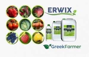 ERWIX – αυξάνει την αντοχή των φυτών σε ασθένειες (λειτουργεί ως αντιβιοτικό)