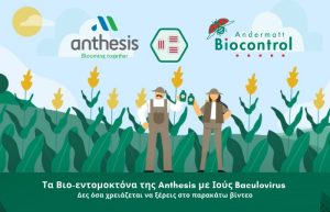 Τα Βιο-εντομοκτόνα της Anthesis με Ιούς Baculovirus έχουν έναν καινοτόμο τρόπο δράσης 4 επιπέδων.  Δες όσα χρειάζεται να ξέρεις στο παρακάτω βίντεο…