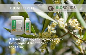 Η “Συνταγή” της επιτυχίας για την ανθοφορία & Καρπόδεση της Ελιάς