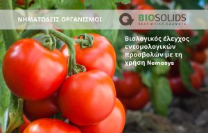 Βιολογικός έλεγχος εντομολογικών προσβολών με την χρήση Nemasys