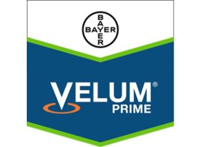 Velum Prime –  To νέο επαναστατικό και καινοτόμο νηματωδοκτόνο από τη Bayer με μοναδικό τρόπο δράσης