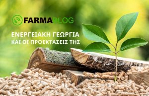 Ενεργειακή γεωργία και οι προεκτάσεις της