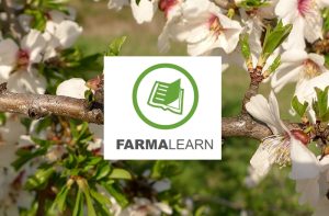 Αμύγδαλο – Monilia (Sclerotinia) laxa: Συνθήκες ανάπτυξης του παθογόνου & τρόποι αντιμετώπισης του