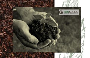Nemasys®  – Ωφέλιμοι (εντομοπαθογόνοι) νηματώδεις, για τον Βιολογικό έλεγχο εντομολογικών προσβολών