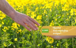 InVigor® – Υβρίδια ελαιοκράμβης που χαρίζουν χαμόγελα