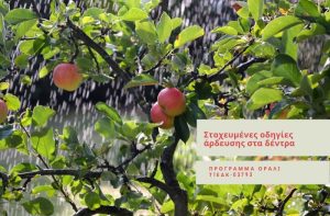 Λίγες στοχευμένες οδηγίες για την άρδευση στα δέντρα