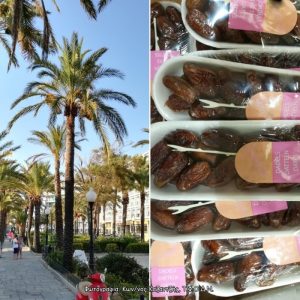 Δενδρώδη / θαμνώδη μικρότερης οικονομικής σημασίας: Η Χουρμαδιά ή Φοίνικας ο δακτυλοφόρος (Phoenix dactylifera L.)
