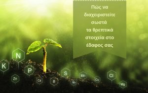 Πώς να διαχειριστείτε σωστά τα θρεπτικά στοιχεία στο έδαφος σας