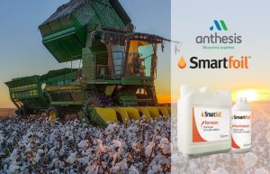 Smartfoil – Καλλιεργήστε έξυπνα, με έξυπνα διαφυλλικά