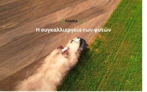 Η επιστήμη πίσω από τη συγκαλλιέργεια των φυτών