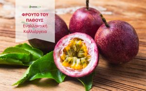 Η Πρώτη έρευνα στην Ελλάδα που μελετά το Φρούτο του Πάθους ως μία Εναλλακτική Καλλιέργεια