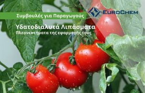 Υδατοδιαλυτά Λιπάσματα | Πλεονεκτήματα της εφαρμογής τους