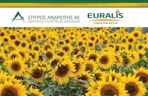 Η πρόταση της Σπύρος Ανδριώτης Α.Ε. για υψηλής απόδοσης Υβρίδια Ηλίανθου