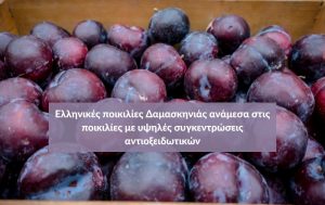 Ελληνικές ποικιλίες Δαμασκηνιάς ανάμεσα στις ποικιλίες με υψηλές συγκεντρώσεις αντιοξειδωτικών