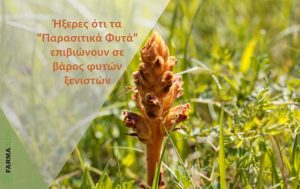 Ήξερες ότι τα “Παρασιτικά Φυτά” επιβιώνουν σε βάρος φυτών-ξενιστών