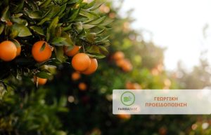Αντιμετώπιση εντομολογικών εχθρών σε εσπεριδοειδή