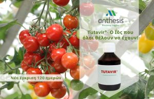 Νέα έγκριση 120 ημερών: Tutavir® – Ο Ιός που όλοι θέλουν να έχουν!