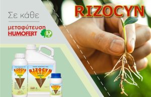 RIZOCYN: Φυσικός Βιοδιεγέρτης ριζοβολίας