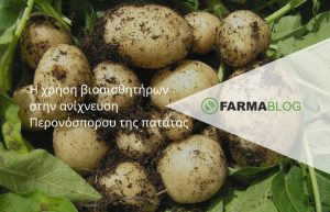 Η χρήση βιοαισθητήρων στην ανίχνευση Περονόσπορου της πατάτας