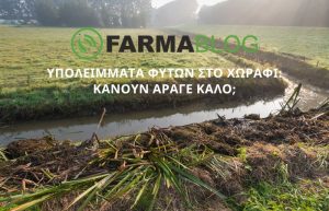Υπολείμματα φυτών στο χωράφι: κάνουν άραγε καλό;