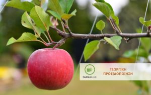 Έναρξη της 1ης πτήσης της Καρπόκαψας της Μηλιάς – Παρακολούθηση και επεμβάσεις