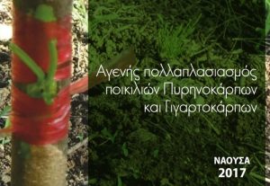Εγχειρίδιο Αγενούς Πολλαπλασιασμού Δενδρωδών, από τον Τ.Φ.Ο.Δ. Νάουσας