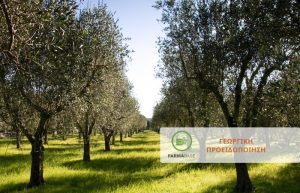 Φυτοπροστασία στα βλαστικά στάδια της ελιάς