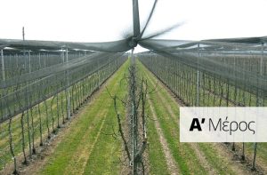 Τι πρέπει να γνωρίζουν οι παραγωγοί πριν την εγκατάσταση ενός οπωρώνα – Μέρος Α΄