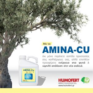 AMINA Cu – Συνδυάστε τις ευεργετικές ιδιότητες του Χαλκού με την ενέργεια και τη Βιοδιέγερση των Αμινοξέων